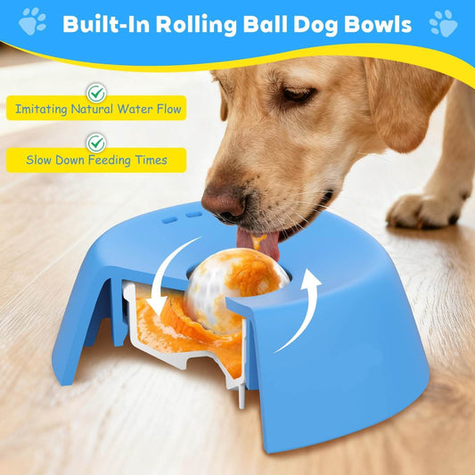 LICKSY BOWL Premium - LICKSY
