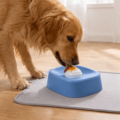 LICKSY BOWL Premium - LICKSY