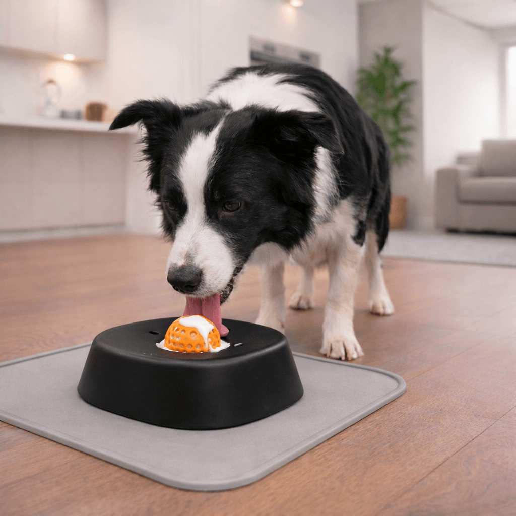 LICKSY BOWL Premium - LICKSY
