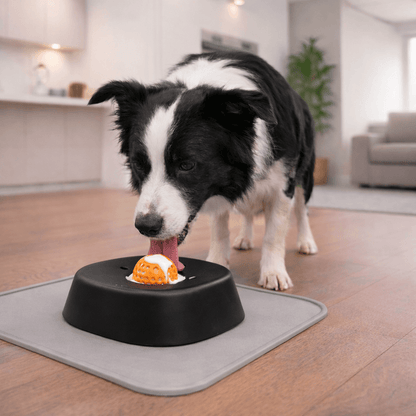 LICKSY BOWL Premium - LICKSY