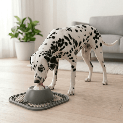 Licksy Bowl SUPER Premium - LICKSY